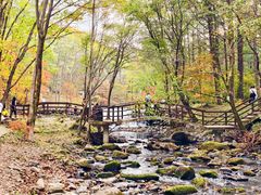 -本溪老边沟风景区