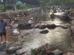 -广州白江湖森林公园