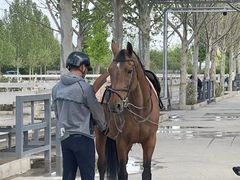 -北京群众马术培训基地
