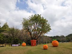 -云溪植物园