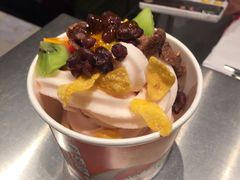 -TFYOGURT·图图果·霜·优格(信义诚品店)