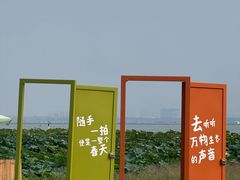 -蟹村草堂·苏式园林人文农家·大闸蟹