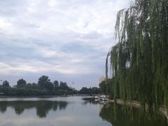 -莱西月湖公园