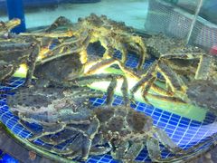 -欢乐海岸美食联盟