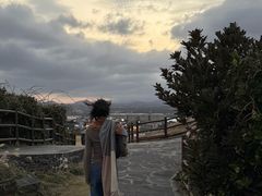 -涉地可支