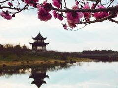 -上海海湾国家森林公园