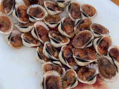 血蚶-胖大嫂渔家排档·全海景餐厅(渔村店)