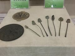 -广东中医药博物馆