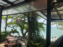 -卷心菜和避孕套餐厅(Pattaya)