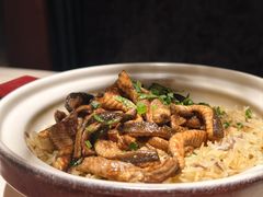 -侨美食家·粤菜(体育西路店)