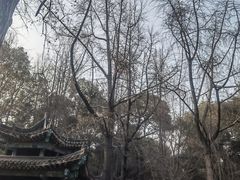 -成都市文殊院