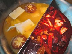 台式麻辣花胶鸡双拼锅-湊湊火锅·茶憩(上海合生汇店)