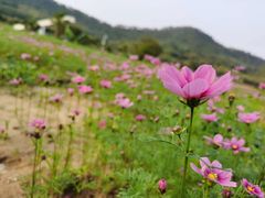 -广州市流溪河国家森林公园