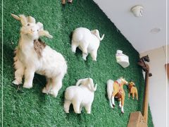 -诺敏塔拉奶茶-布里亚特包子-手把肉(锦都会店)