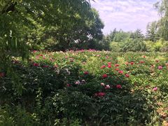 -幕燕滨江·长江观音景区