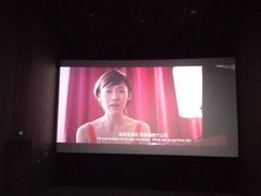 -汉阳天河电影城(王家湾店)