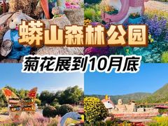 -北京十三陵国家森林公园蟒山景区