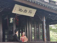 -上海醉白池公园