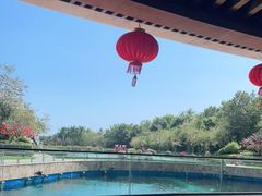 -天津湾西餐厅(三亚海棠湾洲际度假酒店)