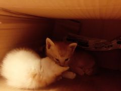 -看书吧(体育东横路店)