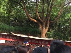 -郭阿姨月亮馍