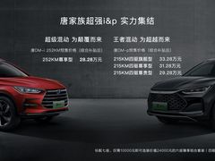 -北京福铃丰瑞比亚迪4S店(花乡店)