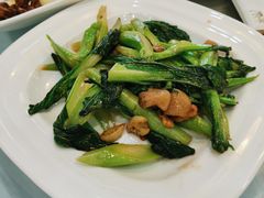 猪油渣炒菜心-勝記酒家·37年老字号·经典粤菜(荔枝公园店)
