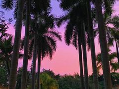 -Waterfall瀑布湾优健源(华侨城店)