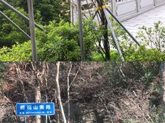 -梧桐山风景名胜区