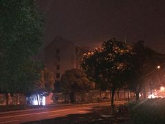 -Dior迪奥(上海世茂广场店)