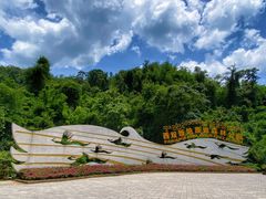 -西双版纳原始森林公园