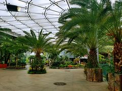 -北京植物园-展览温室