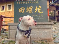 -南靖田螺坑土楼群景区