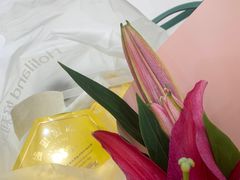 -好利来(北美N1店)