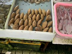 -大湾区中央湿地公园-十九涌