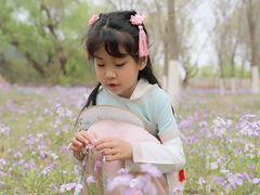 -永定河休闲森林公园