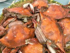 -四海蒸鲜蒸汽海鲜自助(北戴河店)