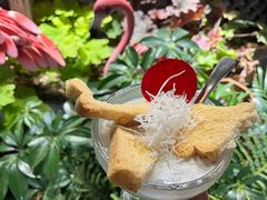 -菌自由丨野生菌火锅特色庭院餐厅(丽江古城店)