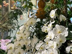 -花二家·生活馆(六运小区店)