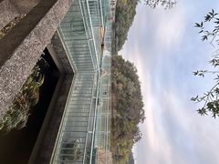 -李小龙乐园(顺德均安店)