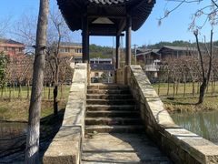 -黄陂区野村谷景区