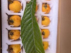 -东山风景区(洞庭东山)