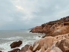 -广东惠东海龟国家级自然保护区