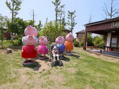 -杭州湾海上花田景区