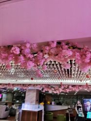 -重庆军美医疗美容医院
