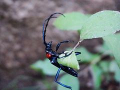 -碓臼峪自然风景区
