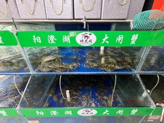 -阳澄湖大闸蟹·琼灵阁牌品牌连锁(吴中总店)