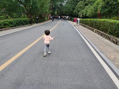 -韶山毛泽东同志故居