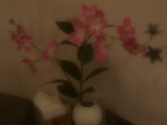 -金凤凰健康养生·足疗·推拿·SPA(横岗店)