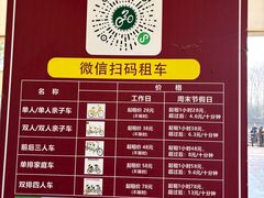 -合肥滨湖国家森林公园